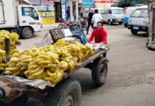 محافظ الشرقية : رفع الإشغالات والتعديات المخالفة لتحقيق الإنضباط للشوارع