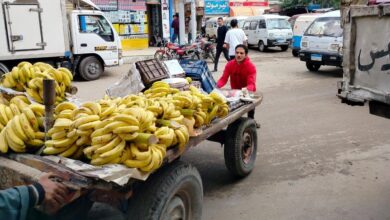 محافظ الشرقية : رفع الإشغالات والتعديات المخالفة لتحقيق الإنضباط للشوارع