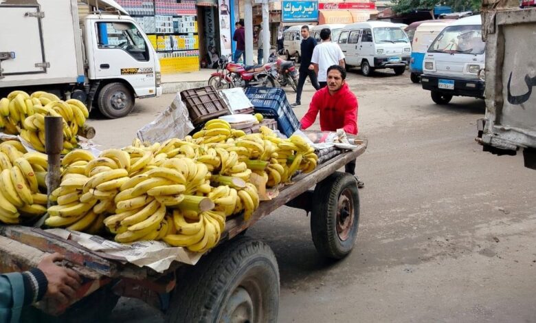 محافظ الشرقية : رفع الإشغالات والتعديات المخالفة لتحقيق الإنضباط للشوارع
