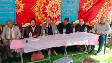 "الزراعة" تنظم سلسلة مؤتمرات إرشادية للنهوض بإنتاجية القمح في النوبارية وشمال البحيرة