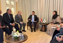 وزير الزراعة يبحث تعزيز التعاون العربي لتطوير القطاع وتمكين صغار المزارعين