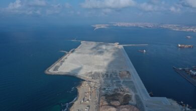 مشروع إنشاء محطة تحيا مصر 2 متعددة الأغراض على رصيف 100 بميناء الدخيلة