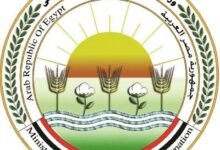 "الزراعة": المشروع القومي لإحياء البتلو ساهم في تحقيق طفرة في انتاج مصر من اللحوم والألبان