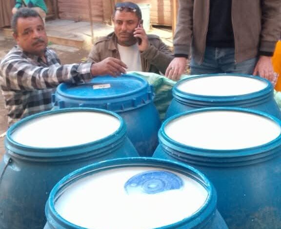 ضبط 2600 لتر لبن فرز و 65 جركن بديل كيماوي مجهول المصدر ببنى سويف