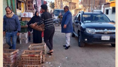 محافظ الشرقية تواجد الأجهزة التنفيذيةبشوارع المحافظة لإزالة الاشغالات