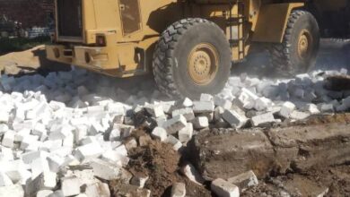 إزالة أكثر من 390 حالة تعدي على الأراضي الزراعية خلال أسبوع