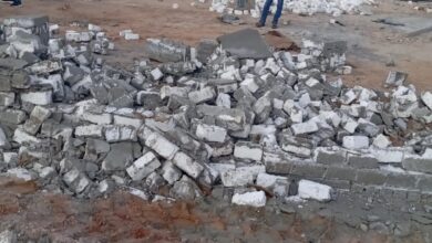 "الزراعة" : إزالة 274 حالة تعدي على الأراضي الزراعية خلال أسبوع