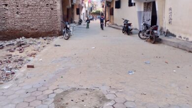 الانتهاء من عمل بلاط الانترلوك بالحسينية ومشتول بتكلفة 10,3مليون جنيه