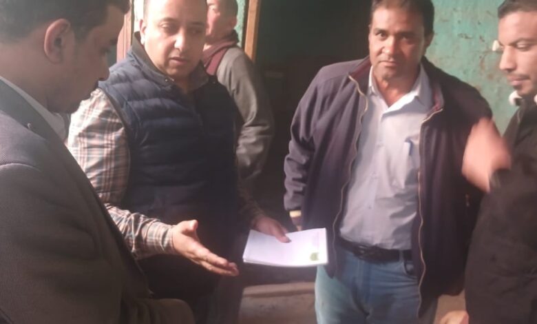 الزراعة" تنفي علاقة "النمل الأبيض" بانهيار منازل في الأقصر