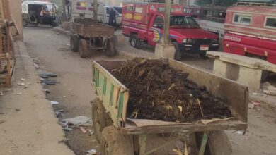 مجمعات المواقف تتحول إلى بؤر للقمامة والسباخ وسط صمت المسؤلين بإهناسيا