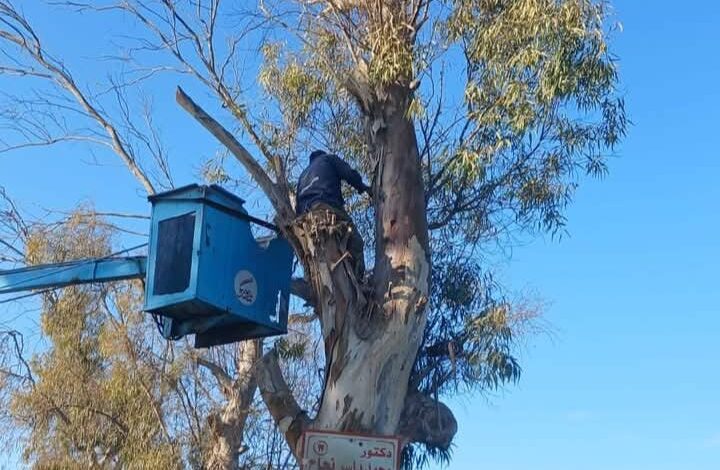 محافظ كفرالشيخ يوجّه برفع مستوى أمان طريق إسحاقة -السرو حرصًا على سلامة أهالينا