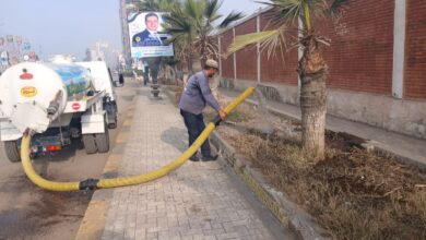 حملات نظافة لرفع المخلفات والقمامة وتقليم وتهذيب اشجار بنطاق احياء دسوق