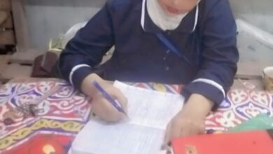 فريق الرحمة ... بقلم / د. دعاء محمد احمد