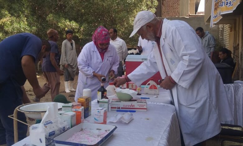 "الزراعة" تنفذ 177 قافلة بيطرية مجانية في 172 قرية خلال شهر نوفمبر