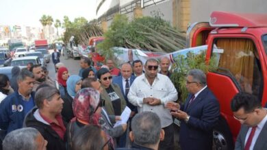 الدقهلية تستلم الدفعة الرابعة من الأشجار ضمن مبادرة "100 مليون شجرة"