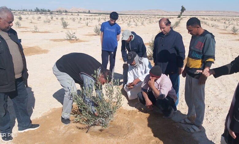 "بحوث الصحراء" يُكثف جولاته بسيناء ضمن مبادرة "اسأل واستشير"