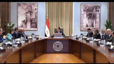 رئيس الوزراء : يُتابع إجراءات منع تهريب السلع والبضائع في مختلف المنافذ