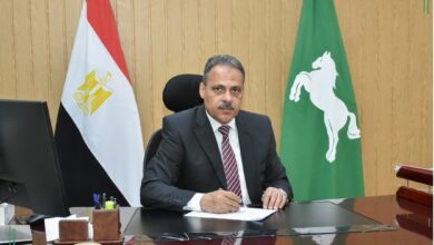 محافظ الشرقية: إعتماد ٤ مناطق صناعية جديدة بمركز بلبيس