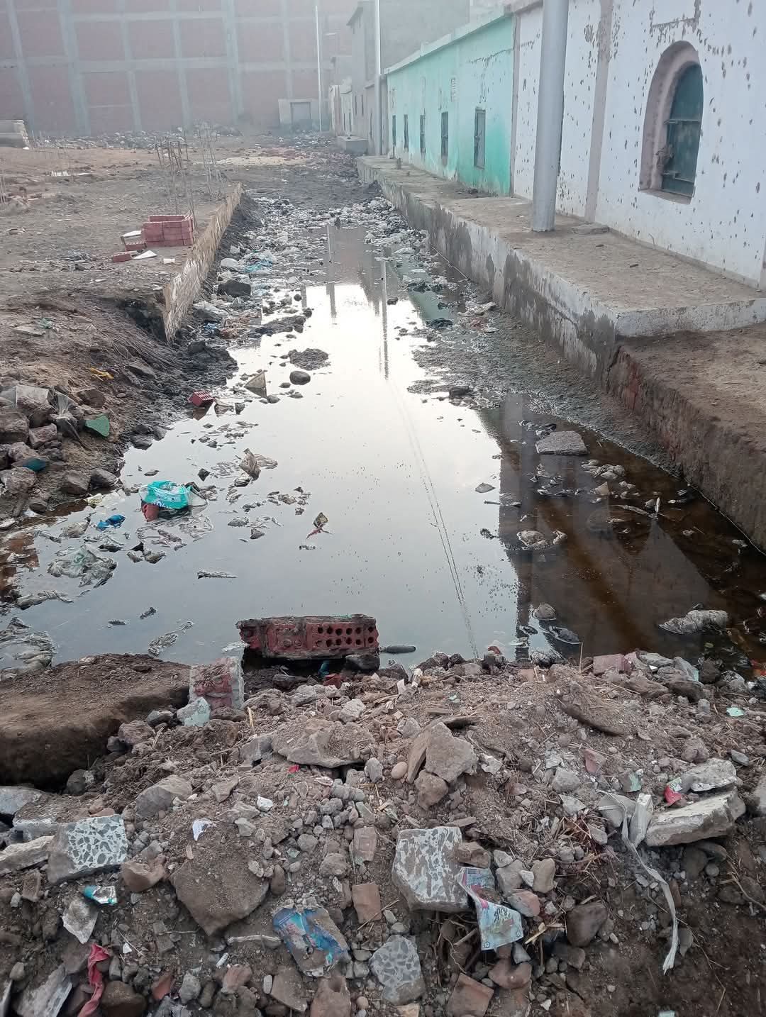 صورة حقيقية 