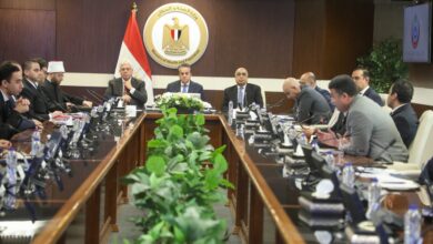 نائب رئيس مجلس الوزراء وزير الصحة والسكان يترأس الاجتماع الدوري للمجموعة الوزارية