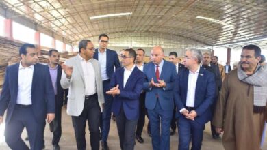 في إطار جولته الحالية بمحافظتي الأقصر وقنا: - وزير الاستثمار والتجارة الخارجية ومحافظ قنا يتفقدان سير العمل بالمنطقة الحرة العامة بقفط