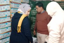 بالأرقام حصاد استثنائي لملف الصادرات الزراعية المصرية بزيادة 800 ألف طن