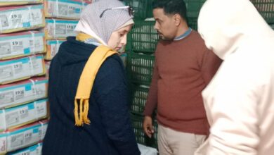 بالأرقام حصاد استثنائي لملف الصادرات الزراعية المصرية بزيادة 800 ألف طن