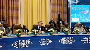 جتماع المائدة المستديرة الذي نظمته المجموعة الاستراتيجية لمعادن أفريقيا بعنوان "
