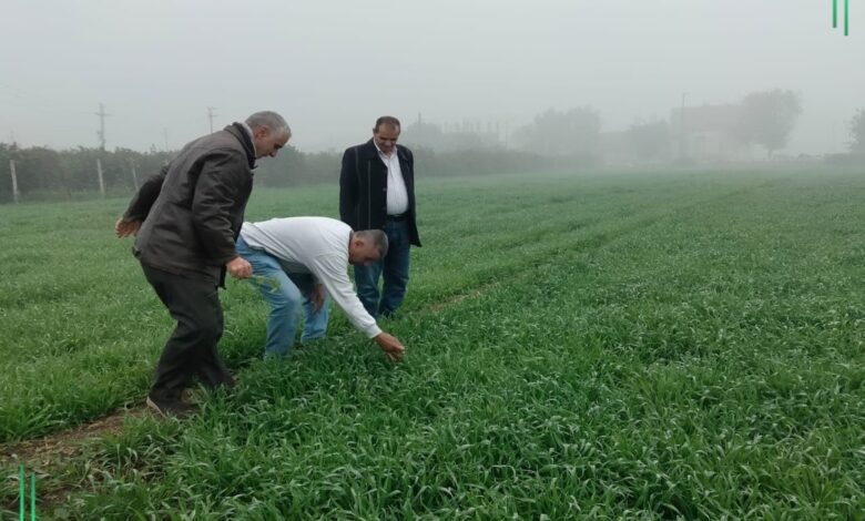 ندوات إرشادية ومرور ميداني وعقد برامج توعوية بمديرية زراعة الشرقية