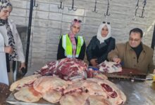 ضبط 26,2 طن مواد عذائية واسمدة مجهولة المصدر بالشرقية