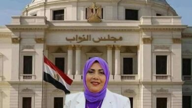 دعاء عبدالمنعم تكتب : النائب الحقيقي للشعب ... من هو