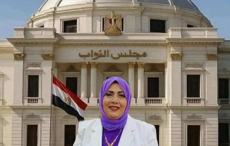 دعاء عبدالمنعم تكتب : النائب الحقيقي للشعب ... من هو