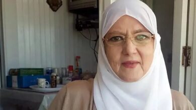 شمس البارودي تنجو من الموت فى حادث سير مروع