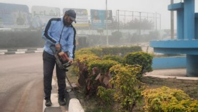 نظافة وتشجير