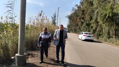 تركيب 50 عمود كهرباء جديد مزود بكشافات إنارة حديثة بطرق سيدي سالم