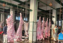 "الزراعة"المجازر الحكومية استقبلت 705 ألف رأس ماشية خلال النصف الثاني من 2025