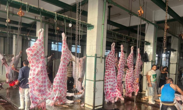 "الزراعة"المجازر الحكومية استقبلت 705 ألف رأس ماشية خلال النصف الثاني من 2025