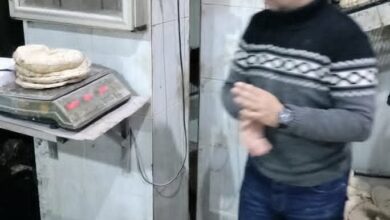  محاضر بالجملة  على المخابز بنطاق مركز ومدينة دسوق