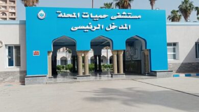 تقديم 11.5 مليون خدمة طبية من خلال المنشآت الصحية بالغربية خلال عام 2025