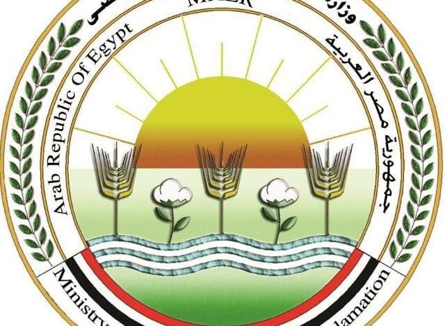 "الزراعة": "اتحاد المصدرين" يوفر أنسجة وشتلات النخيل التصديري