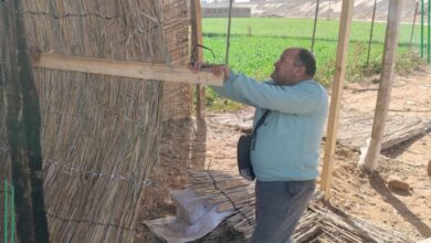 إزالة ٤٦٣ حالة تعدي بالبناء المخالف بالموجه 28 لازالات التعديات بالشرقية