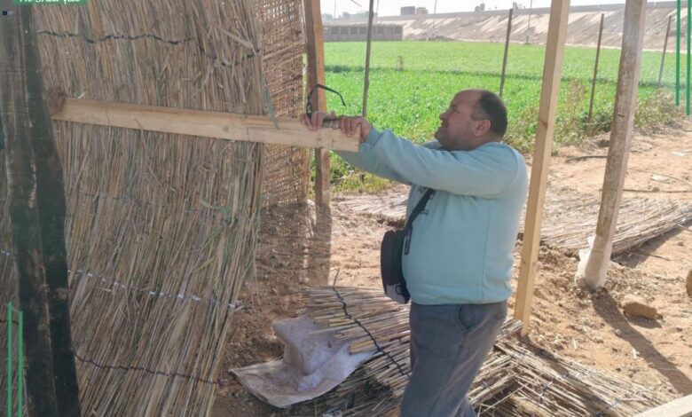 إزالة ٤٦٣ حالة تعدي بالبناء المخالف بالموجه 28 لازالات التعديات بالشرقية