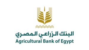 عمرو الليثي