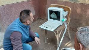 "الزراعة" تكثّف جهود الرعاية التناسلية والتحسين الوراثي للماشية خلال يناير: "الخدمات البيطرية" تنفذ التلقيح الاصطناعي لأكثر من 59 ألف رأس ماشية