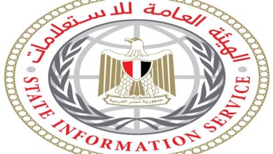 الهيئة العامة للاستعلامات تناشد المراسلين الأجانب الرجوع في كل ما يخص الموقف المصري إزاء التصعيد العسكري للبيانات الرسمية