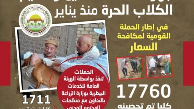 وزارة الزراعة : تحصين 17760 كلب حر