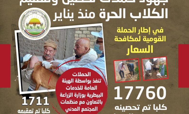 وزارة الزراعة : تحصين 17760 كلب حر