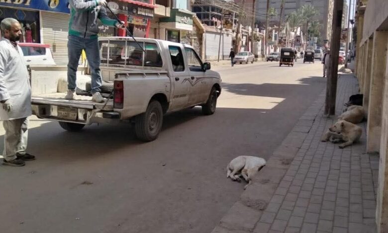 حملات من الطب البيطري لتحصين الكلاب الحرة بالغربية