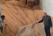 "الزراعة" تشن حملات رقابية للتفتيش على محلات ومصانع الأعلاف في 4 محافظات