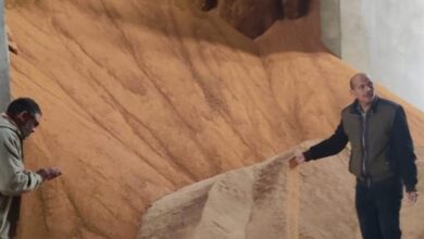 "الزراعة" تشن حملات رقابية للتفتيش على محلات ومصانع الأعلاف في 4 محافظات